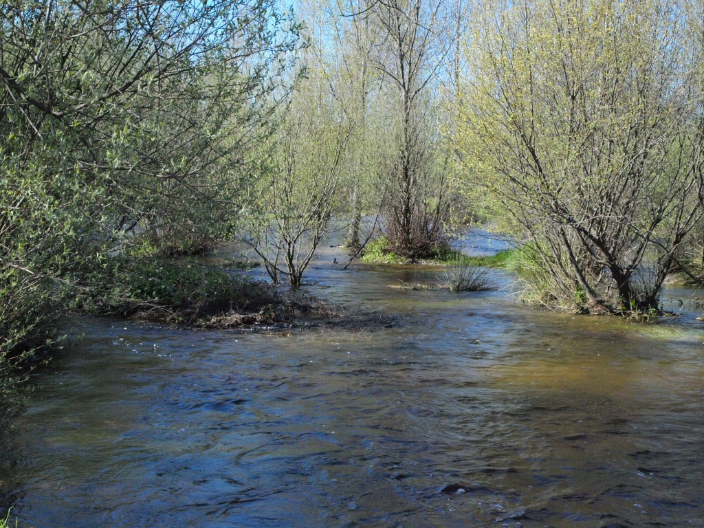 3º Primaria: Excursión río Alberche