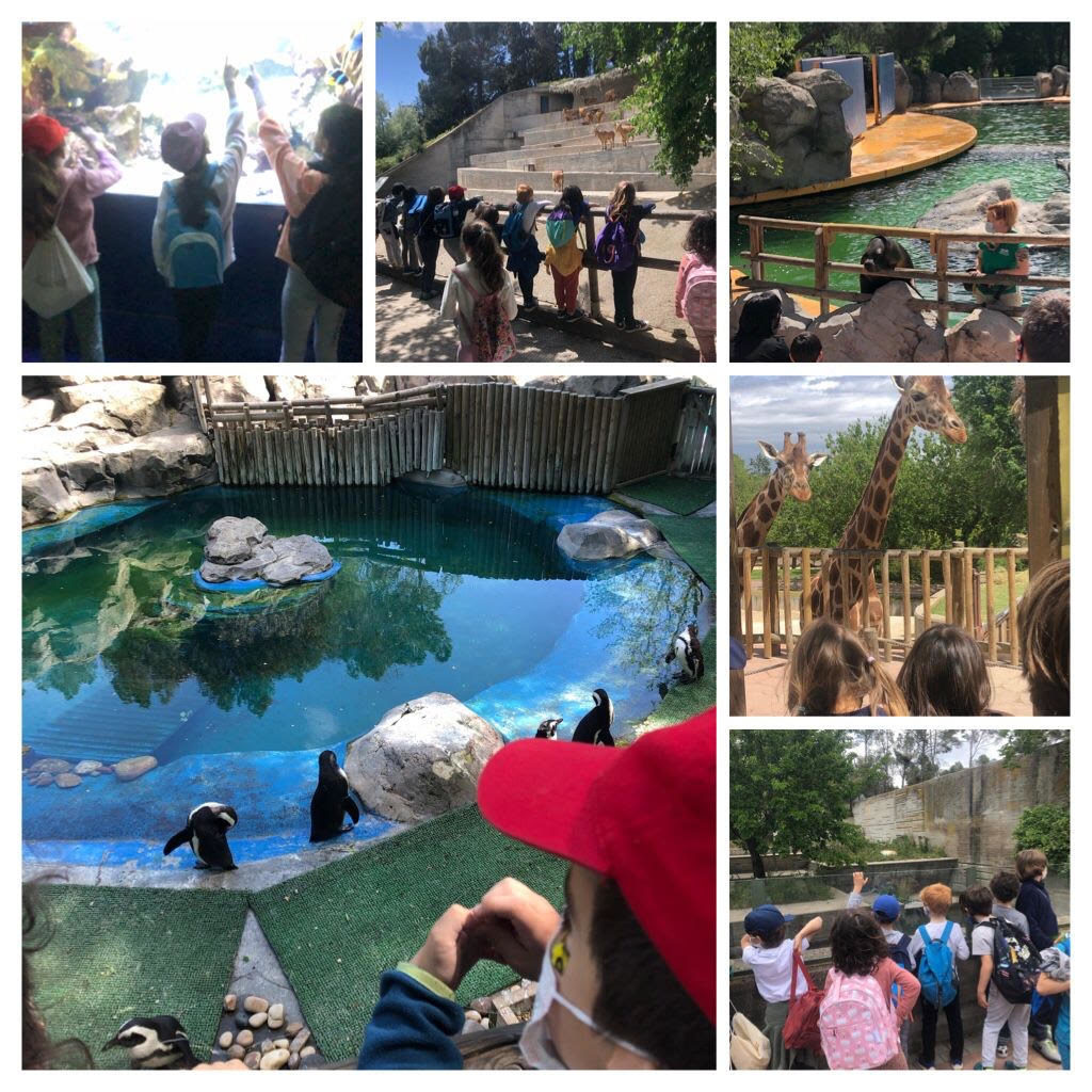 1º y 2º Primaria: Excursión Zoo Aquarium de Madrid